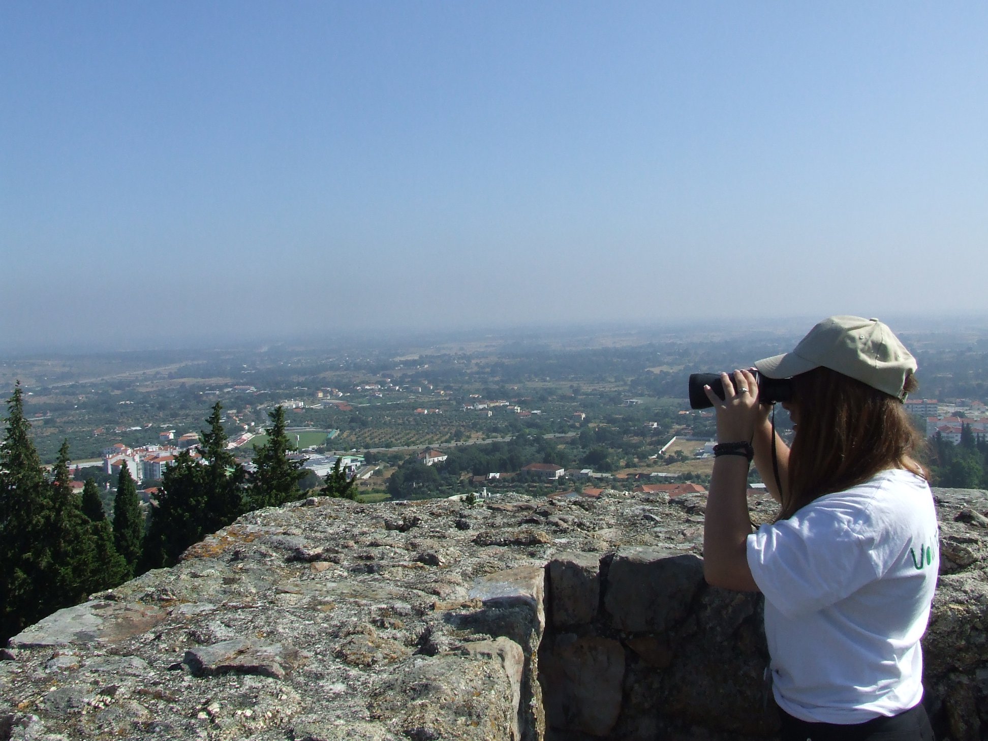 Programa Voluntariado Jovem para a Natureza e Floresta